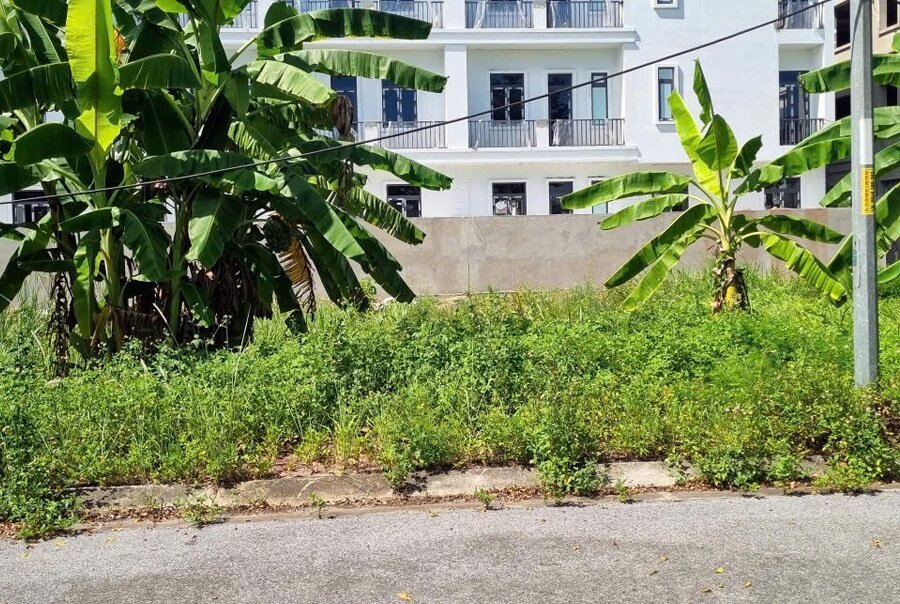 Là một chuyên gia hỗ trợ kỹ thuật phần mềm, sau khi quan sát kỹ lưỡng hình ảnh được cung cấp, tôi nhận thấy đây là một bức ảnh chụp phong cảnh thực tế, hiển thị một khu đất trống với cây chuối, thảm thực vật xanh, một phần của tòa nhà màu trắng phía sau và mặt đường nhựa.

Trong toàn bộ hình ảnh, không có bất kỳ giao diện phần mềm, màn hình lỗi hệ thống, mã lỗi (như 0x0000...), hay thông báo lỗi bằng chữ cụ thể nào xuất hiện. Do đó, tôi không thể trích xuất hoặc phân tích thông tin lỗi phần mềm từ hình ảnh này.

Để có thể hỗ trợ bạn một cách hiệu quả nhất, vui lòng cung cấp hình ảnh trực tiếp về màn hình lỗi phần mềm hoặc thông báo lỗi cụ thể mà bạn đang gặp phải.